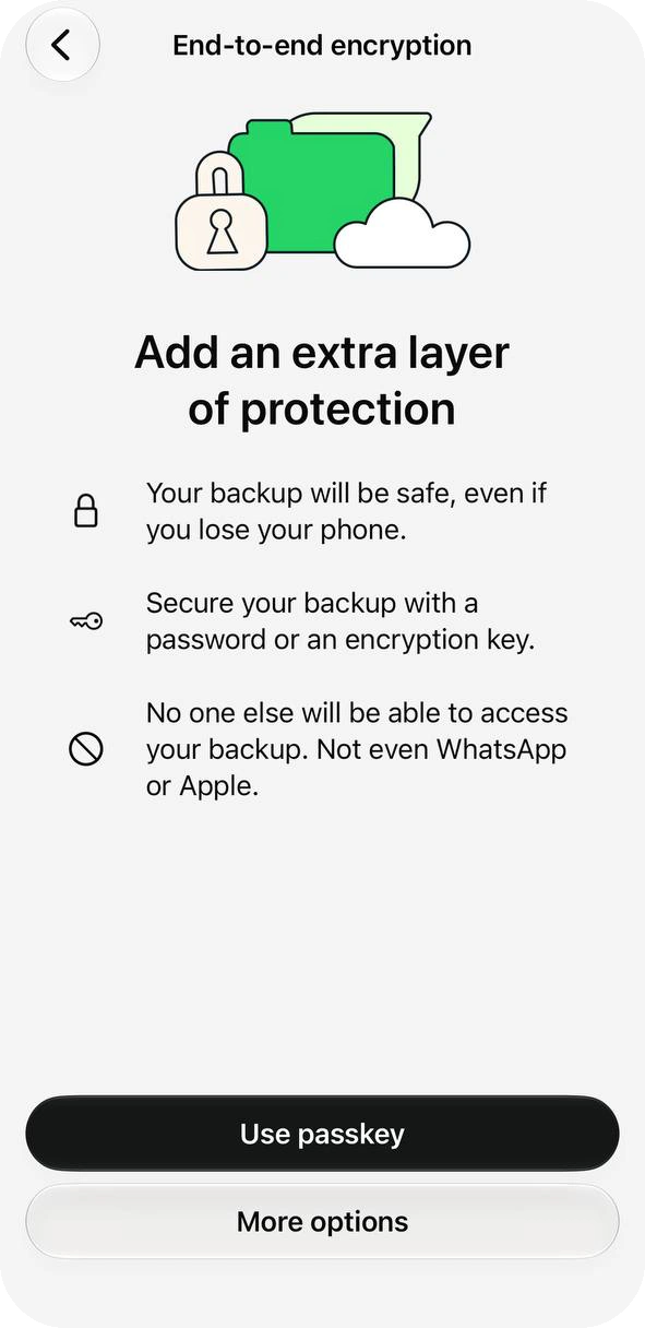 End-to-end encryption screen titled Add an extra layer of protection, with the buttons Use passkey and More options