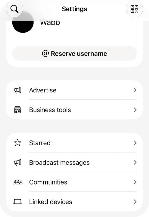 WhatsApp Business Settings on an iPhone with Starred, Broadcast messages, Communities and Linked devices in one group