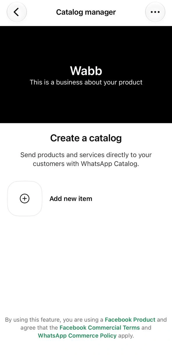 Catalog manager of a new account with the business name, a Create a catalog prompt and an Add new item button