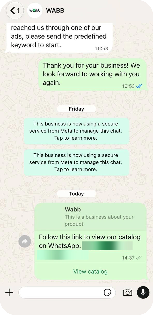 Chat with a sent catalog message that says Follow this link to view our catalog on WhatsApp, with the link blurred and a View catalog button