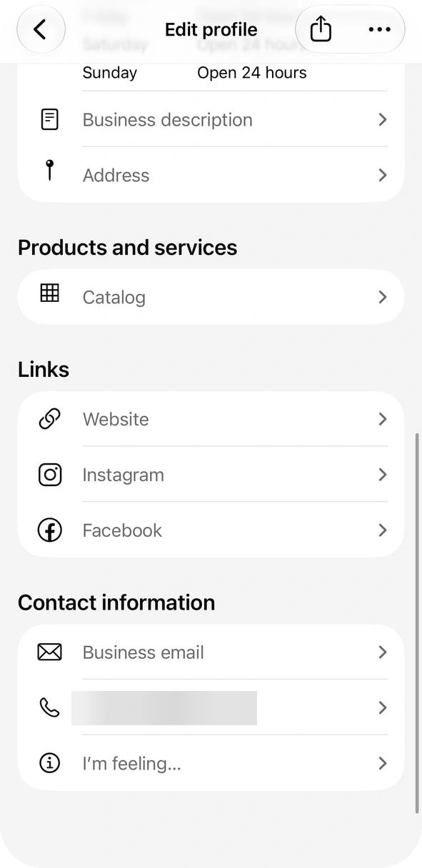 Edit profile screen with Catalog, Website, Instagram, Facebook, Business email, a blurred phone number and About rows
