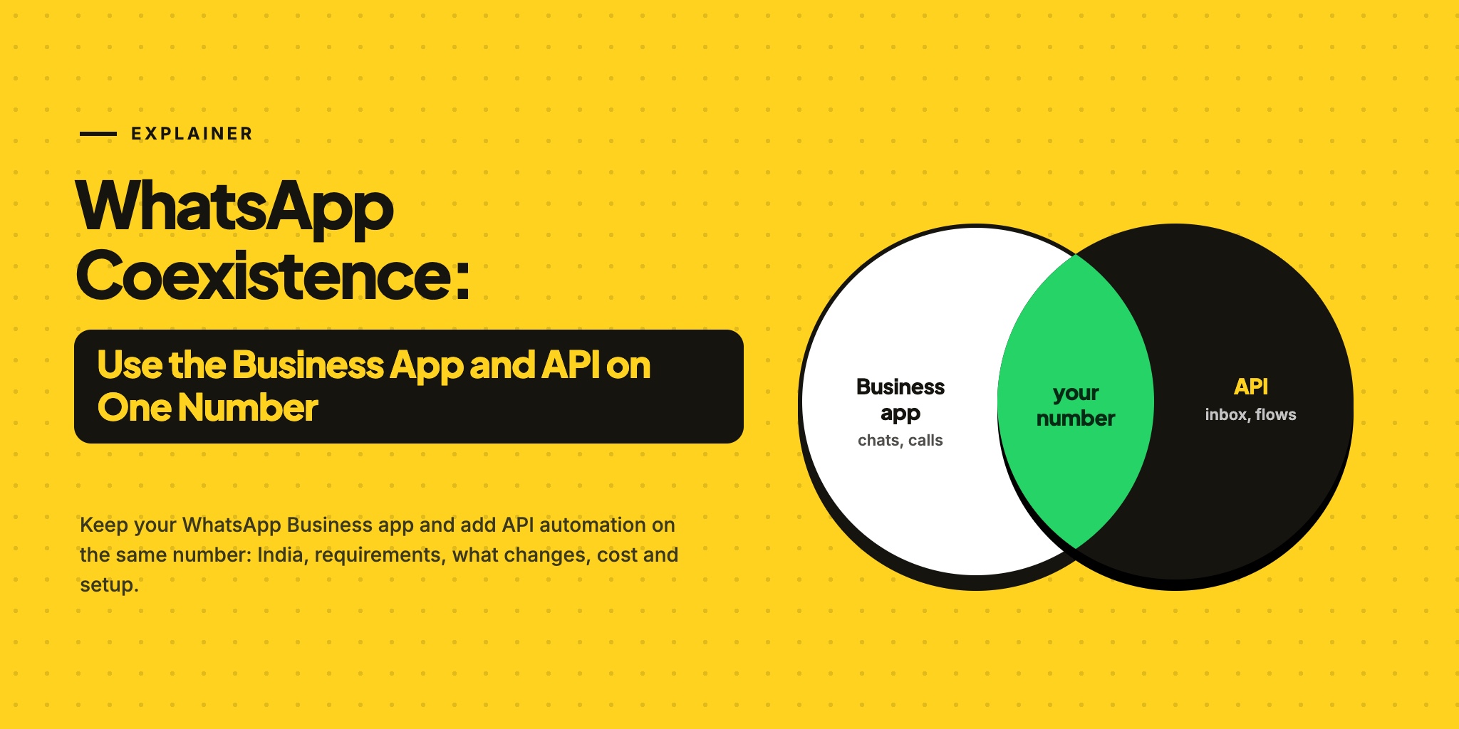 WhatsApp Coexistence: two overlapping circles, the Business app and the API, sharing one number