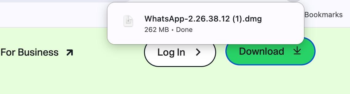 Browser download notification showing the WhatsApp .dmg installer, 262 MB, done